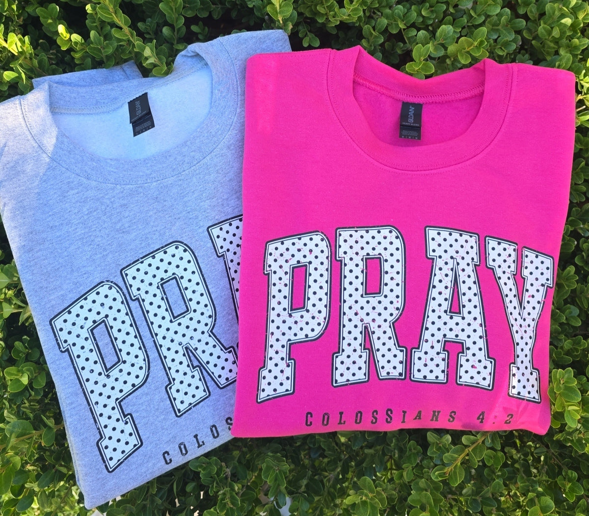 Dotted Pray