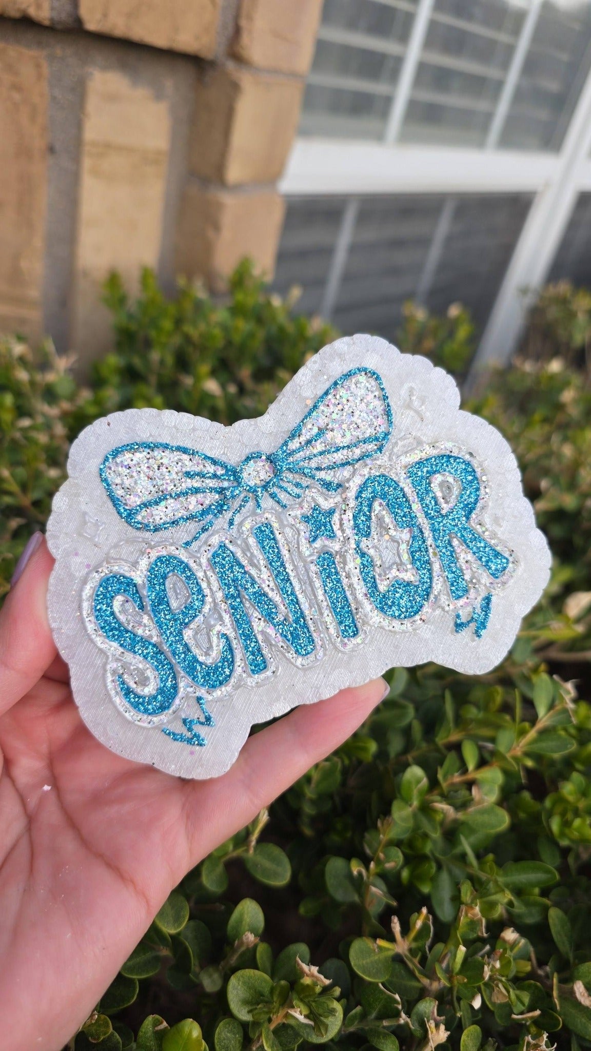 Senior Freshie ( In Your Own School Colors)